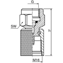 Stauff Steel Adapter G 1/4 to M16 Female, DIN Standard SMD 20 R 1/4 V