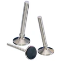 Nu-Tech Engineering M16 65 mm Dia. Adjustable Foot Stainless Steel 1250 kg Static Load Capacity 10 ° Tilt Angle A087/005
