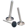 Nu-Tech Engineering M16 65 mm Dia. Adjustable Foot Stainless Steel 1250 kg Static Load Capacity 10 ° Tilt Angle A087/005