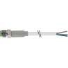 RS PRO Male 4 Way Straight to Unterminated Sensor Actuator Cable 5m 30V AC PVC Jacket Grey 154-7716