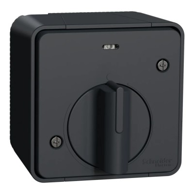 Schneider Electric Grey Turn Switch 1 Gang Surface Mount Timer Light Switch IP55 10A MUR35067