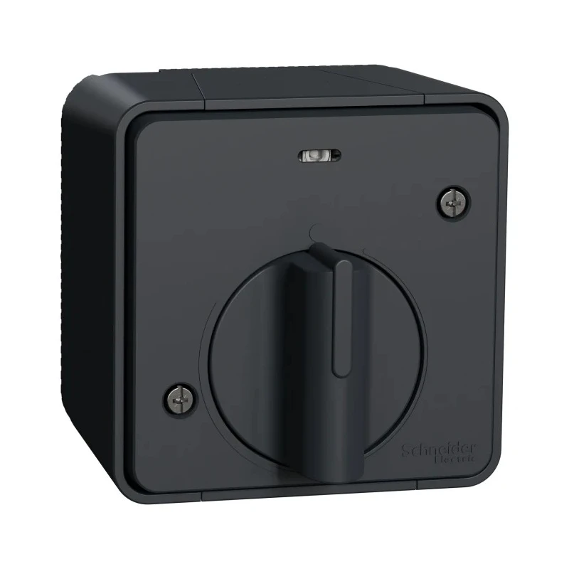 Schneider Electric Grey Turn Switch 1 Gang Surface Mount Timer Light Switch IP55 10A MUR35067