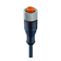 Lumberg Automation Female 4 Way Straight to Unterminated Sensor Actuator Cable, PUR Jacket, 250V RKT 4-225/5M