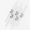 Wickmann Non-Resettable Wire Ended Fuse, Axial 1A, 250V ac Ceramic Body 875 Series 0875001.MXEP