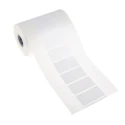 Brady White Label Roll Polyester 50.8 mm Width 25.4 mm Length 1000 Per Roll BPT-17-8423-1