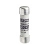 Schneider Electric 2 Ampere Cartridge Fuse 10 x 38 mm, 500V AC DF2CN02
