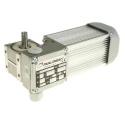 Mini Motor BC2000/T Worm AC Geared Motor 20 W 3 Phase 2-Pole 230V 400 V BC2000