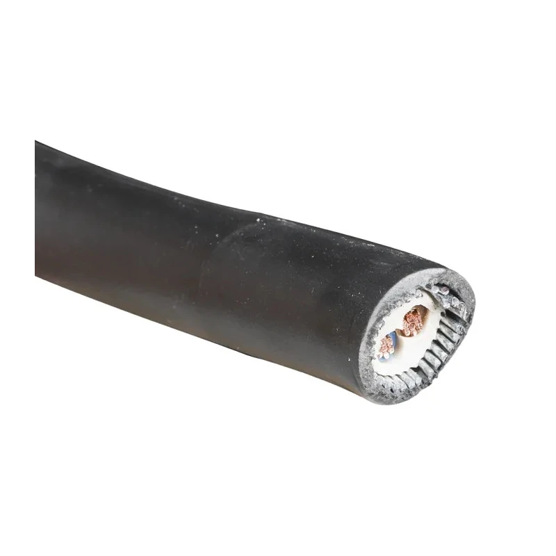 RS PRO 2 Core Power Cable 4mm² 90 °C Cross Linked Polyethylene 1000V 600V Copper Conductor 185-3989