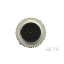 TE Connectivity Sensor Actuator Cable Male 8 Way M12 to 8 Way Sensor 5000 mm T4161110008-005