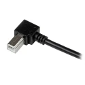 StarTech.com USB 2.0 Male USB 2.0 Type A to Male USB B Cable, Black Jacket, 2 m USBAB2MR