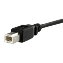 StarTech.com USB 2.0 Female USB Type B to Female USB B Cable Black 304.8mm USBPNLBFBM1