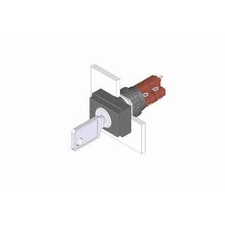 EAO IP65 Key Switch, 2 NO/2 NC Contact Configuration, 5A Current, Rectangular Bezel, Screw Terminal, Model 