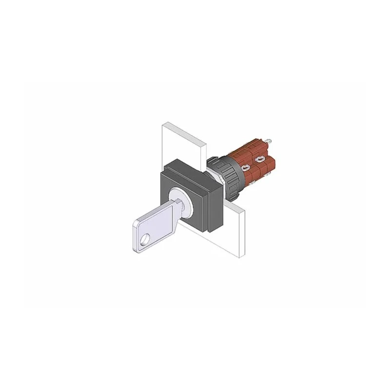 EAO IP65 Key Switch, 2 NO/2 NC Contact Configuration, 5A Current, Rectangular Bezel, Screw Terminal, Model 