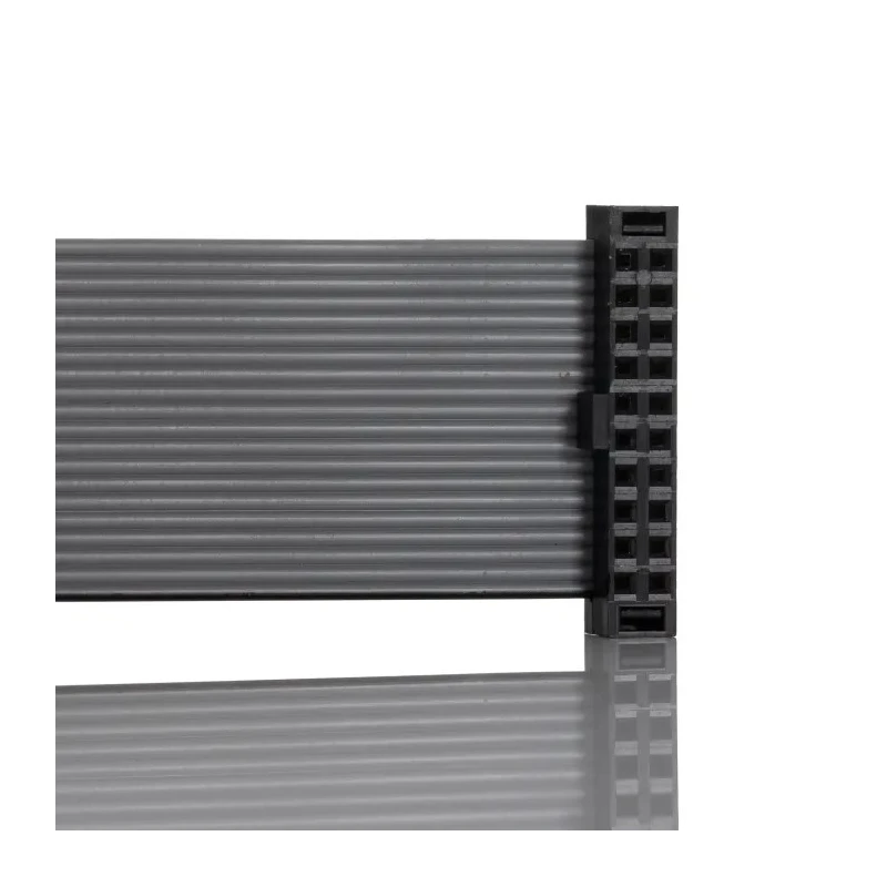 Samtec Flat Ribbon IDC Socket Cable Assembly 100 mm Length TCSD-10-D-04.00-01-N
