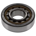 SKF Shielded Single Row Cylindrical Roller Bearing , 25 mm ID, 62 mm OD, 17 mm Width, Non-Metallic Cage, CN NU 305 ECP