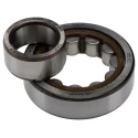 SKF Shielded Single Row Cylindrical Roller Bearing , 25 mm ID, 62 mm OD, 17 mm Width, Non-Metallic Cage, CN NU 305 ECP