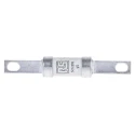 RS PRO 20A British Standard Fuse A2 550V AC High Rupture Capacity, 73 mm 521-2595