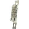 RS PRO 100A British Standard Fuse A3 550V AC High Rupture Capacity, 73.5 mm 521-2674