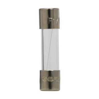 Eaton 1A Fast Acting Glass Cartridge Fuse, 5 x 20 mm, 250V AC S500-1-R