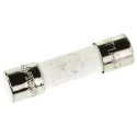 Eaton Ceramic Cartridge Fuse 1A Time Delay, 5 x 20 mm, 250V AC S505-1-R