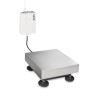 Kern Platform Weighing Scale 300kg Capacity 100 g Resolution RS232 USB LCD Display KGP 300K-2L