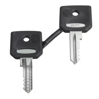 Schneider Electric Key Switch Key for XB4-XB5 Series 