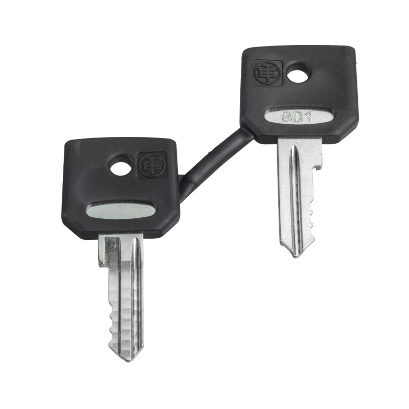 Schneider Electric Key Switch Key for XB4-XB5 Series 