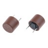 RS PRO Non-Resettable Fuse Radial 3.15A 250V AC Nylon Body 611-0333
