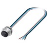 Phoenix Contact Male 8 way M12 to Unterminated 8 way Sensor Actuator Cable 500 mm 300V IP67 1523502