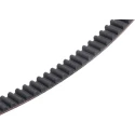 Contitech Rubber Timing Belt 140 Teeth 1.12 m Length 20 mm Width Conti Synchrobelt Series 1120 8M 20