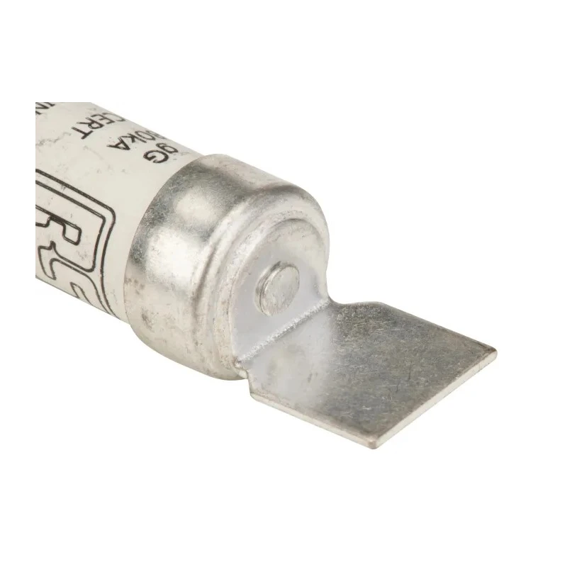 RS PRO 10A British Standard HRC Fuse F1 550V AC High Rupture Capacity 521-2911