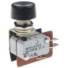 RS PRO Button Micro Switch Quick Connect Terminal 16A 250 V AC DPDT IP40 804-6243