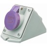 Scame 16A 25V IP44 Purple Wall Mount Industrial Power Connector 3 Pole IEC309 IP44
