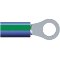TE Connectivity PIDG Insulated Ring Terminal M5 Stud Size 14 AWG Wire Size, Green, Blue 51864-9