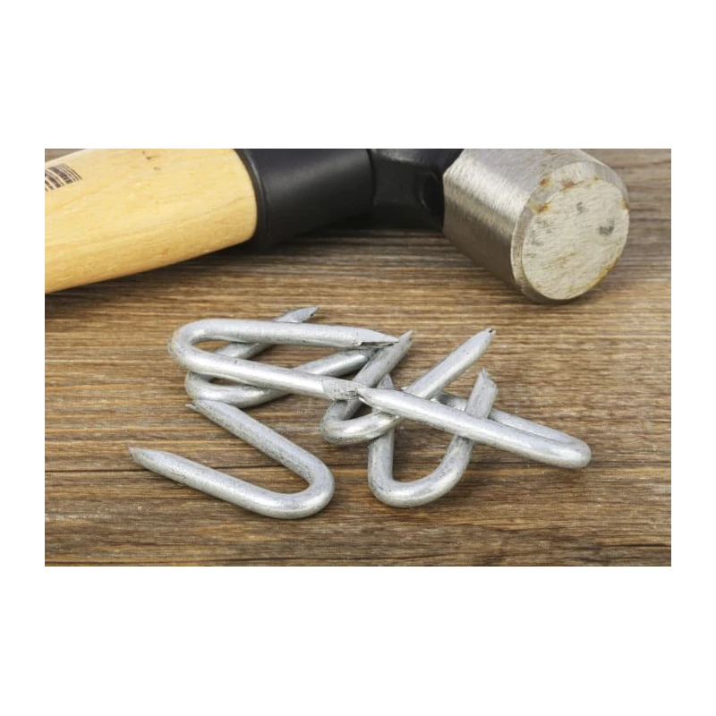 RS PRO Galvanised Nail Staple 40 mm Length 4 mm Diameter 500 g Bag 170-1661