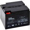 ENIX Energies Standard Sealed Lead Acid Battery 12 V 24 Ah 166 mm x 125 mm AMC9004