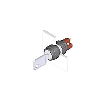 EAO Keylock Switch, 1 NO/1 NC Contact Configuration, 5A Current, 2 Positions Latching Operation Rated Round Bezel 90° IP65
