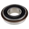 SKF Single Row Deep Groove Ball Bearing 17 mm ID, 35 mm OD, 10 mm Width, Sealed, Steel Balls 6003-2RSHNR