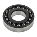 SKF Self-Aligning Ball Bearing 45 mm Inside Diameter 100 mm Outside Diameter 25 mm Race Width Non-Metallic Cage 1309 ETN9/C3