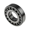 SKF Self-Aligning Ball Bearing 45 mm Inside Diameter 100 mm Outside Diameter 25 mm Race Width Non-Metallic Cage 1309 ETN9/C3