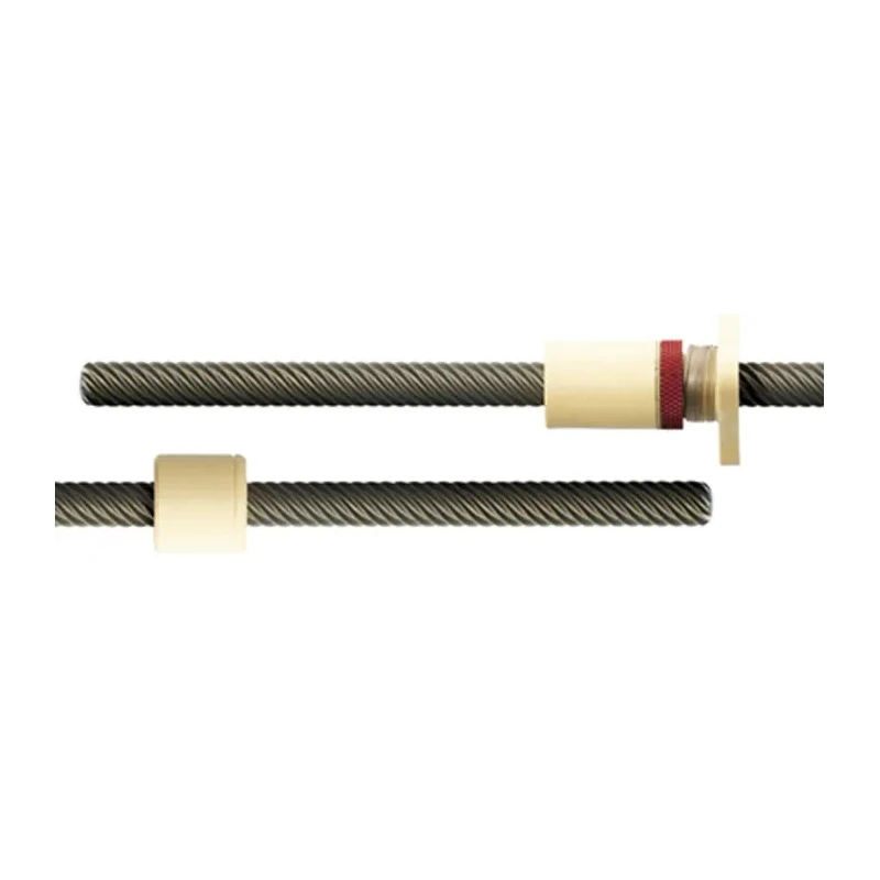 Igus Dryspin Lead Screw with 10 mm Shaft Diameter, 12 mm Lead Size, 500 mm Shaft Length, Material DST-LS-10x12-R-500-ES