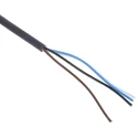 Telemecanique Sensors Female 4 Way Straight to Unterminated Free End Sensor Actuator Cable 10 m XZCP1141L10