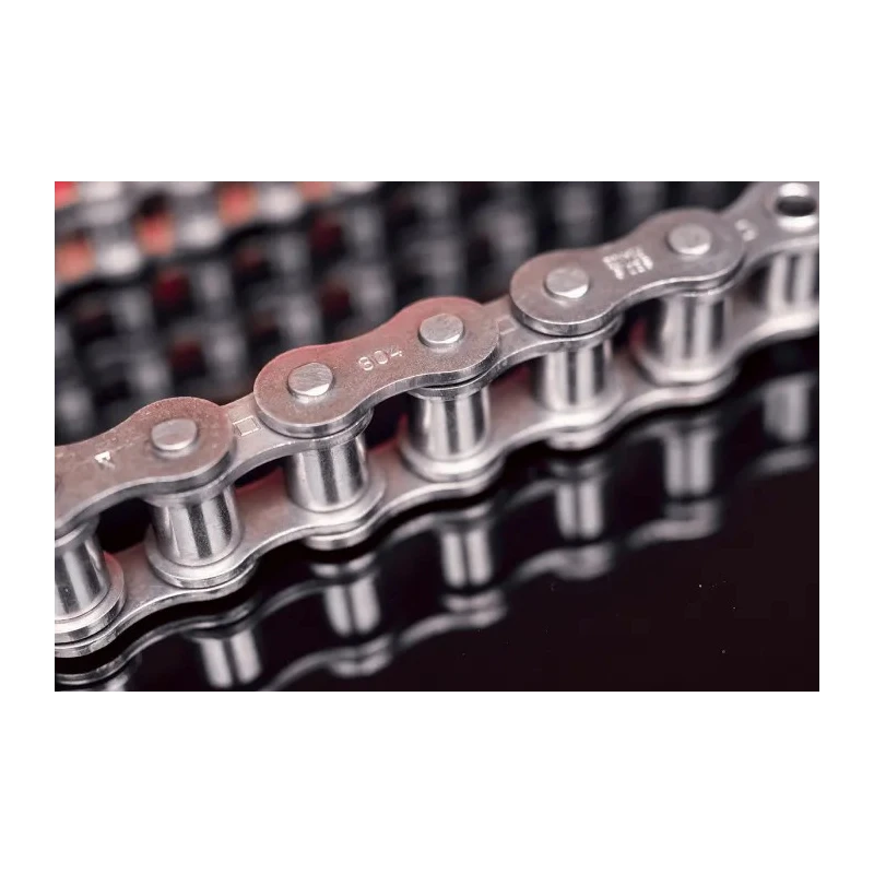 Sedis 10B-1 Roller Chain, 5 m Length, 19 mm Pin, Stainless Steel Alpha Premium ISO 606 (DIN 8187) 11NIN9B01A00