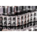 Sedis 10B-2 Roller Chain, 5 m Length, 35.75 mm Pin Length, Stainless Steel Alpha Premium Series ISO 606 (DIN 211NIN9B01A00