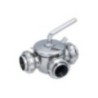 Dairy Valve