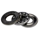 FAG 1 Row Deep Groove Ball Bearing 12 mm ID, 26 mm OD, 9 mm Width, Steel Cage and Balls 51101
