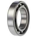 SKF 1 Row Deep Groove Ball Bearing 45 mm ID, 75 mm OD, 16 mm Width, Shielded Cage 6009-Z