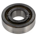 SKF Cylindrical Roller Bearing 17 mm ID, 40 mm OD, 12 mm Race Width, Non-Metallic Cage, Shielded NJ 203 ECP