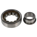 SKF Cylindrical Roller Bearing 17 mm ID, 40 mm OD, 12 mm Race Width, Non-Metallic Cage, Shielded NJ 203 ECP