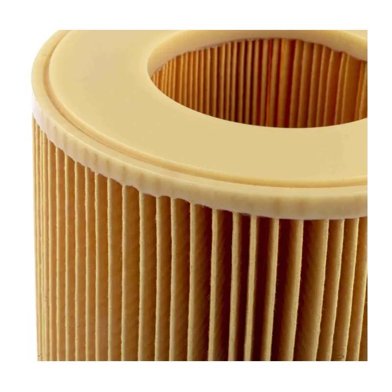 Karcher Vacuum Filter Cartridge for NT 27/1 and NT 48/1 Vacuum Cleaners 6.414-789.0